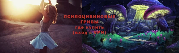 мяу мяу мука Няндома