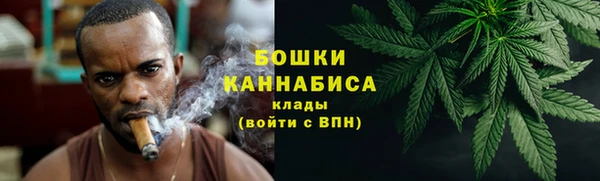 прущие грибы Нягань