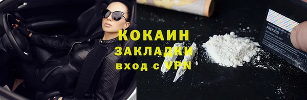 прущие грибы Нягань