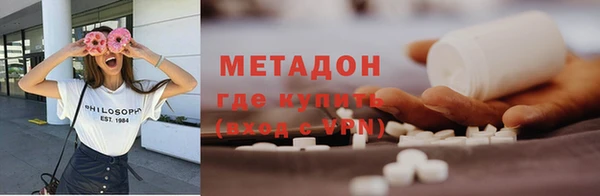 прущие грибы Нягань