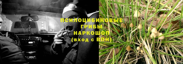 прущие грибы Нягань