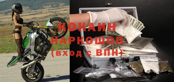 прущие грибы Нягань
