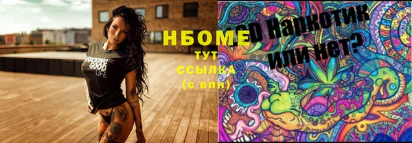 прущие грибы Нягань