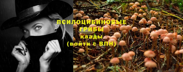 гидра Нязепетровск