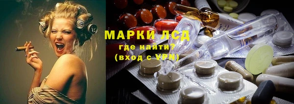 прущие грибы Нягань