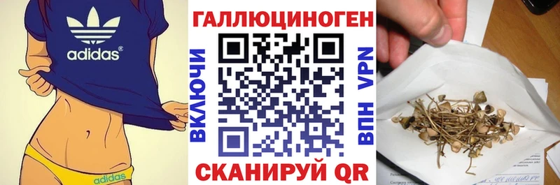 закладки Шарья Псилоцибиновые грибы MAGIC MUSHROOMS