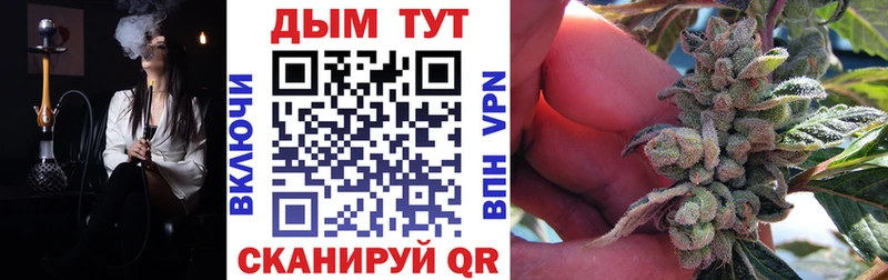 Каннабис сатива  Шарья 